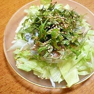 紫蘇・茗荷・ちりめんじゃこの　サラダ